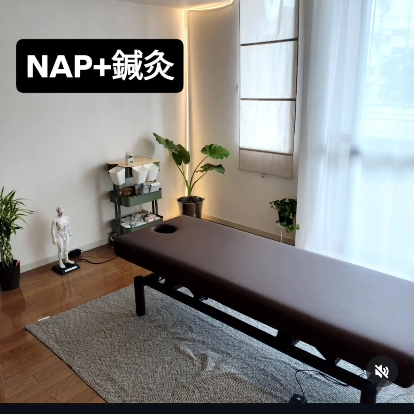 ​【NAP+鍼灸院】