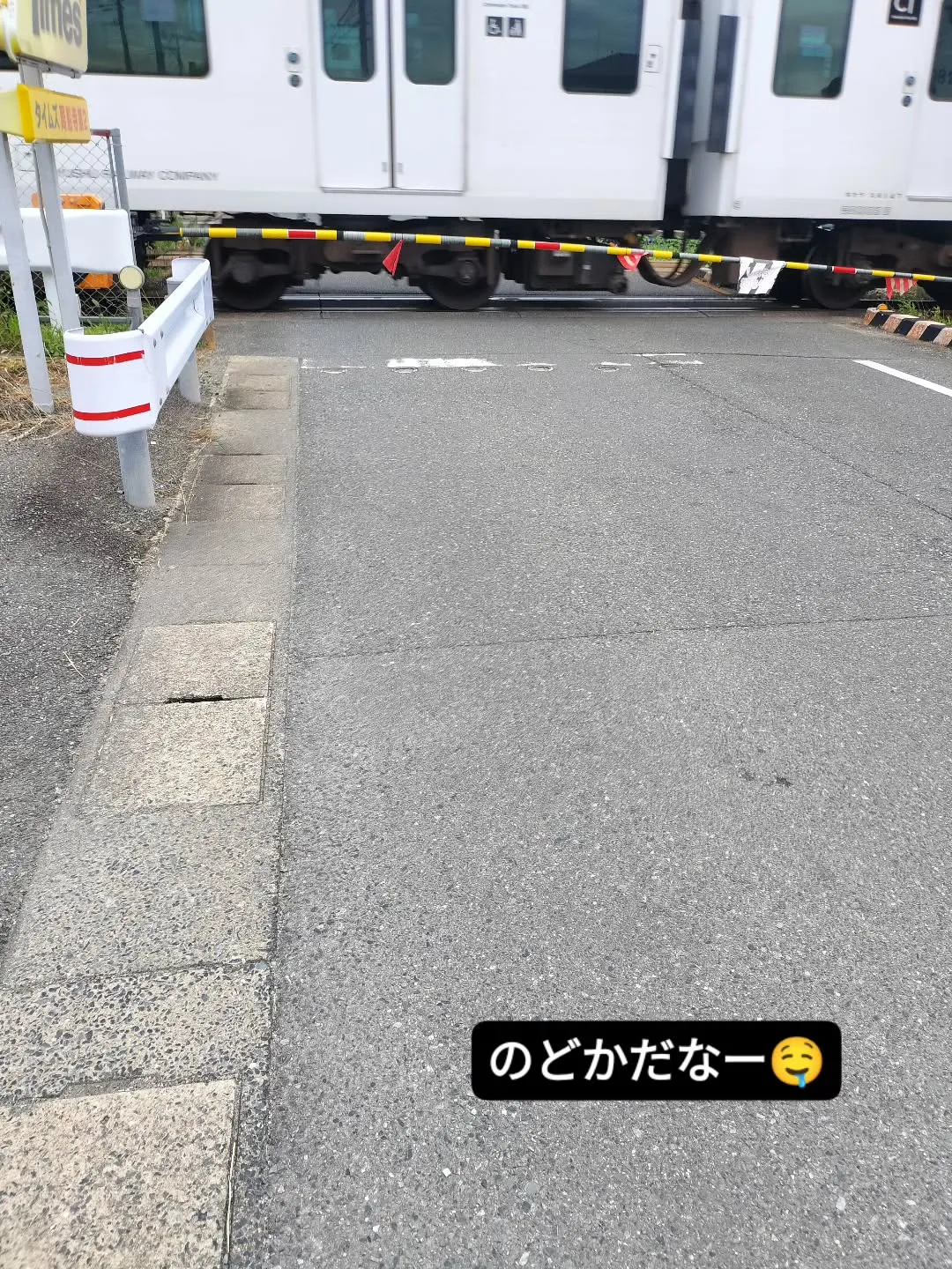 本日は周船寺の施設へ訪問です🧚
