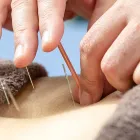 院長あいさつ